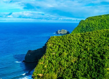 The tropical coastline of the Pololu Valley on the Big Island of Hawaii clipart