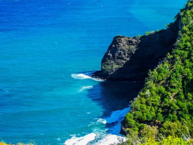 Tropikal kıyı şeridi üzerinde Hawaii büyük ada Pololu Vadisi