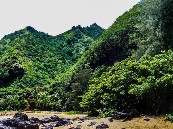 夏威夷考艾岛的热带岛屿景色 — 图库照片