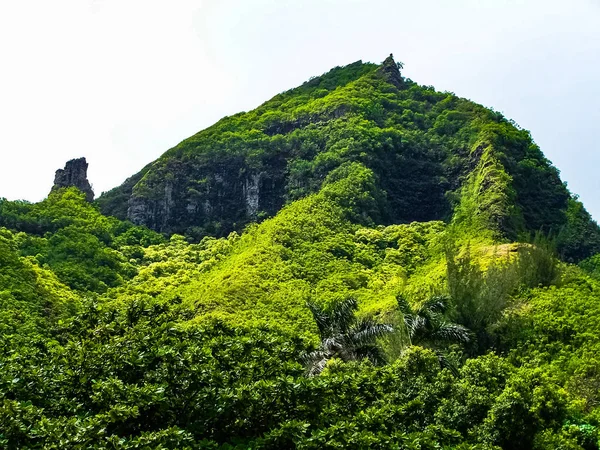 Tropisch Eiland Uitzicht Vanuit Het Eiland Kauai Hawaï — Stockfoto