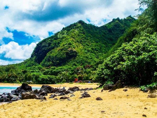 夏威夷考艾岛的热带岛屿景色 — 图库照片