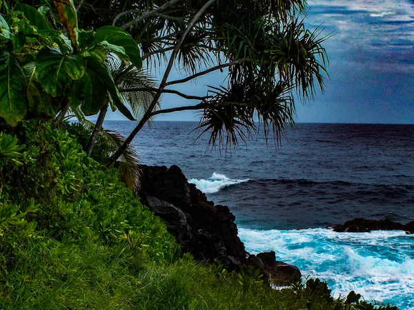 Pahoa Nas Margens Sudeste Ilha Grande Havaí Agora Coberta Pelo — Fotografia de Stock