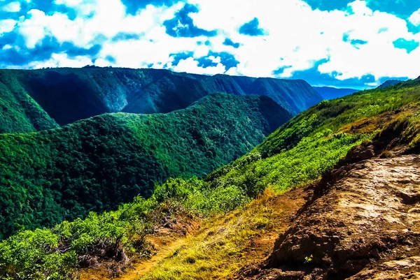 Costa Tropical Vale Pololu Ilha Grande Havaí — Fotografia de Stock