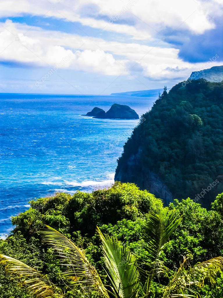 The tropical coastline of the Pololu Valley on the Big Island of Hawaii