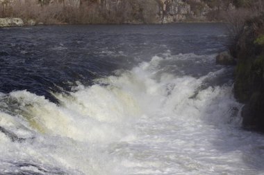 Snake River Targhee Ulusal Henrys çatal ile koyun düştü Idaho orman