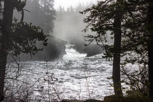 Sheep Falls Sur Fourche Henrys Rivière Snake Dans Forêt Nationale — Photo