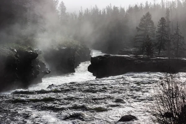 Juh Esik Jindřišská Villát Kígyó Folyó Targhee Nemzeti Erdő Idaho — Stock Fotó