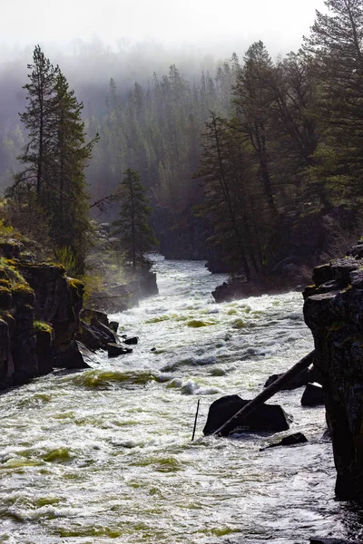 Sheep Falls Henrys Fork Snake River Targhee National Forest Idaho — Stock Photo, Image