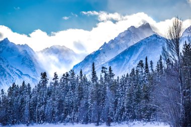 Winter Day in Grand Teton National Park, Wyoming  clipart