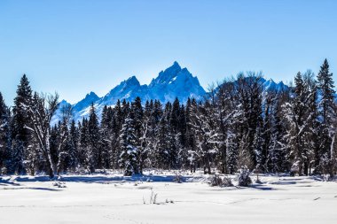 Kış günü Grand Teton Milli Parkı, Wyoming 