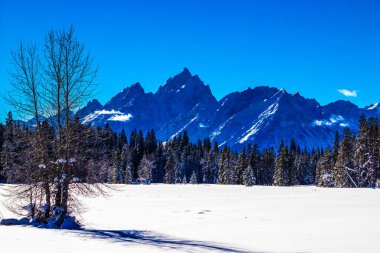 Kış günü Grand Teton Milli Parkı, Wyoming 
