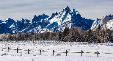 Kış günü Grand Teton Milli Parkı, Wyoming 
