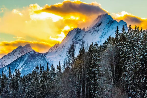 ワイオミング州グランドティトン国立公園の冬の日 — ストック写真