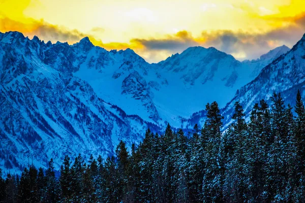 Zimowy Dzień Parku Narodowym Grand Teton Wyoming — Zdjęcie stockowe