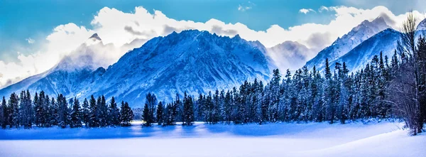 Μέρα Του Χειμώνα Στο Εθνικό Πάρκο Grand Teton Ουαϊόμινγκ — Φωτογραφία Αρχείου