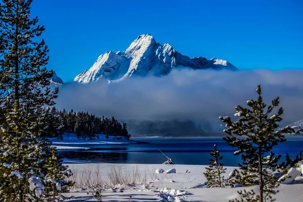 Μέρα Του Χειμώνα Στο Εθνικό Πάρκο Grand Teton Ουαϊόμινγκ — Φωτογραφία Αρχείου