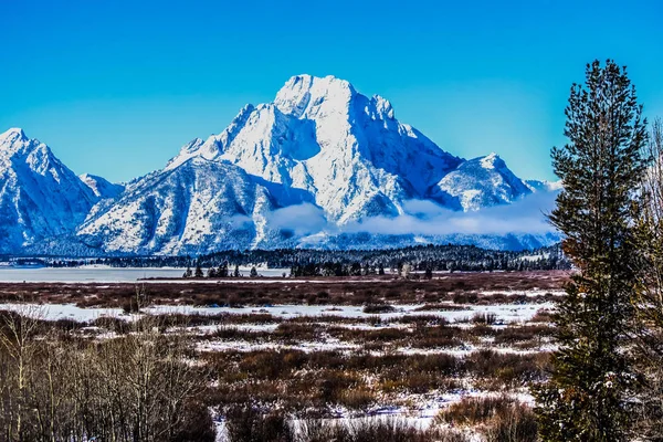 Téli Napon Grand Teton Nemzeti Parkban Wyoming — Stock Fotó