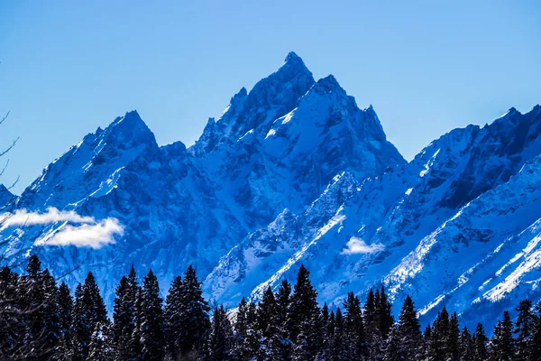 Zimní Den Národním Parku Grand Teton Wyoming — Stock fotografie