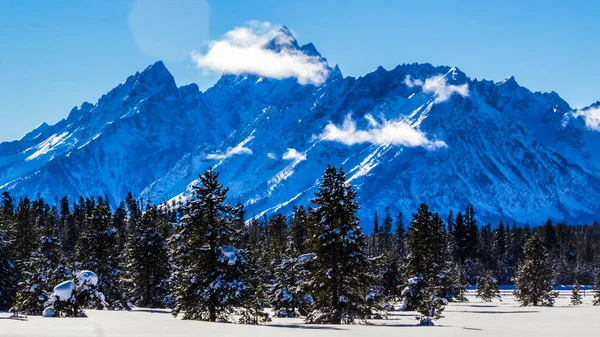 Μέρα Του Χειμώνα Στο Εθνικό Πάρκο Grand Teton Ουαϊόμινγκ — Φωτογραφία Αρχείου