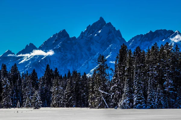 Зимовий День Гранд Тітон Національний Парк Wyoming — стокове фото