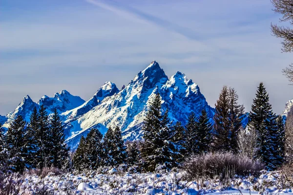 怀俄明州大提顿国家公园冬日 — 图库照片