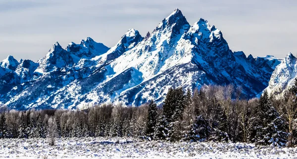 Téli Napon Grand Teton Nemzeti Parkban Wyoming — Stock Fotó