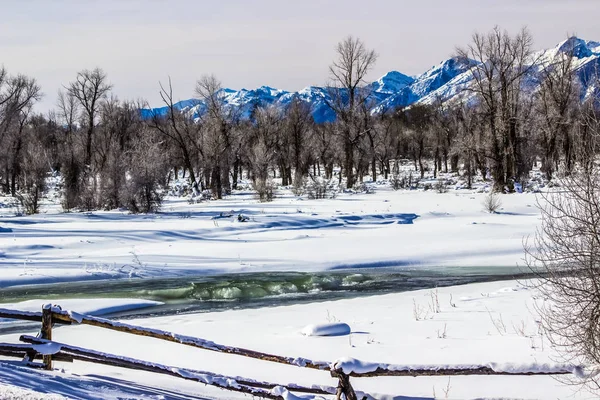 Zimní Den Národním Parku Grand Teton Wyoming — Stock fotografie