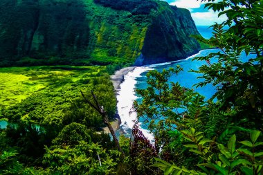 Hawaii büyük ada üzerinde Waipio Vadisi'nde tropik cennet
