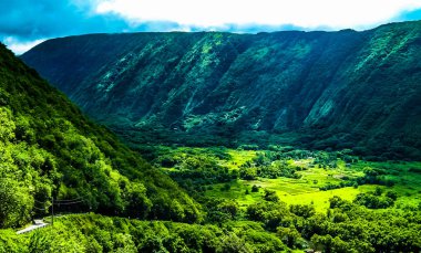 Tropical Paradise in Waipio Valley on the Big Island of Hawaii clipart