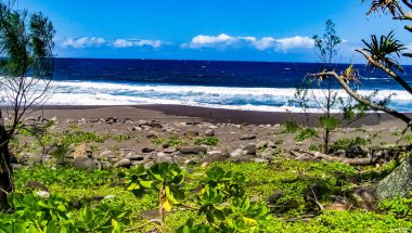 Hawaii büyük ada üzerinde Waipio Vadisi'nde tropik cennet