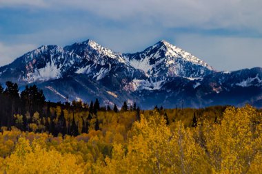 Sonbahar renkleri altın Aspen yeşillik ile Wasatch dağların 