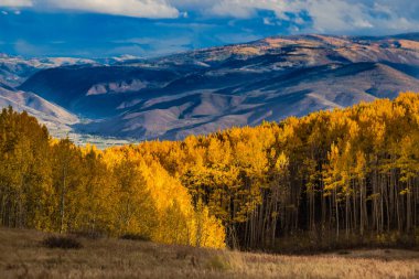 Sonbahar renkleri altın Aspen yeşillik ile Wasatch dağların 
