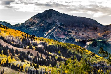 Sonbahar renkleri altın Aspen yeşillik ile Wasatch dağların 