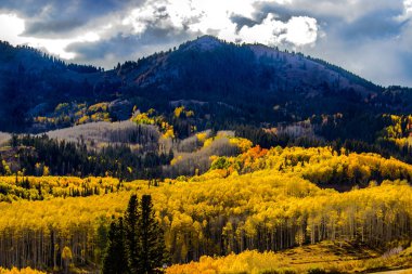 Sonbahar renkleri altın Aspen yeşillik ile Wasatch dağların 