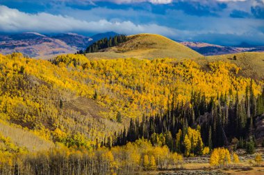 Sonbahar renkleri altın Aspen yeşillik ile Wasatch dağların 