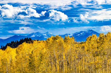 Sonbahar renkleri altın Aspen yeşillik ile Wasatch dağların 