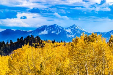 Sonbahar renkleri altın Aspen yeşillik ile Wasatch dağların 