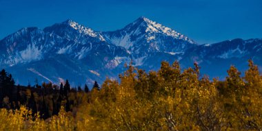 Sonbahar renkleri altın Aspen yeşillik ile Wasatch dağların 