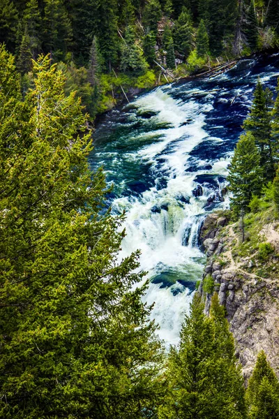 Övre Mesa Faller Henry Fork Snake River Idaho — Stockfoto