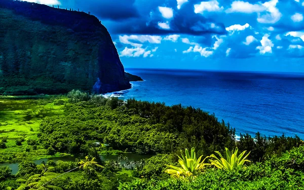 Tropiskt Paradis Waipio Dalen Den Stora Hawaii — Stockfoto