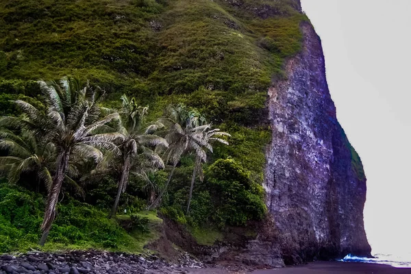 Paraíso Tropical Waipio Valley Ilha Grande Havaí — Fotografia de Stock