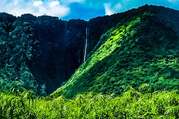 Hawaii Büyük Ada Üzerinde Waipio Vadisi Nde Tropik Cennet — Stok fotoğraf