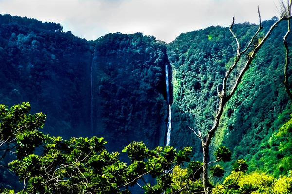 Hawaii Büyük Ada Üzerinde Waipio Vadisi Nde Tropik Cennet — Stok fotoğraf