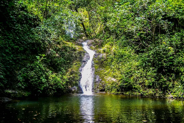 Hawaii Büyük Ada Üzerinde Waipio Vadisi Nde Tropik Cennet — Stok fotoğraf