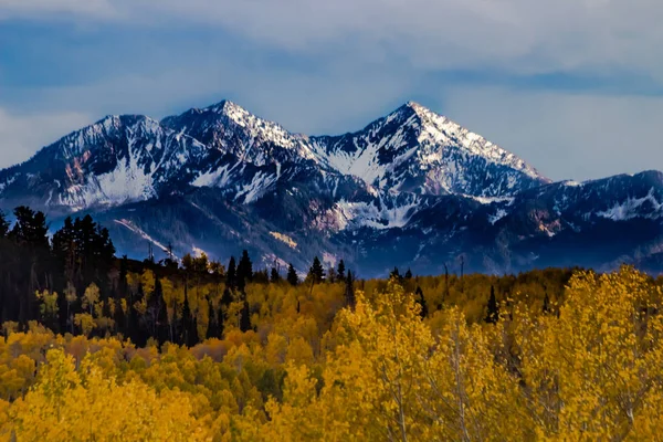 Sonbahar renkleri altın Aspen yeşillik ile Wasatch dağların 