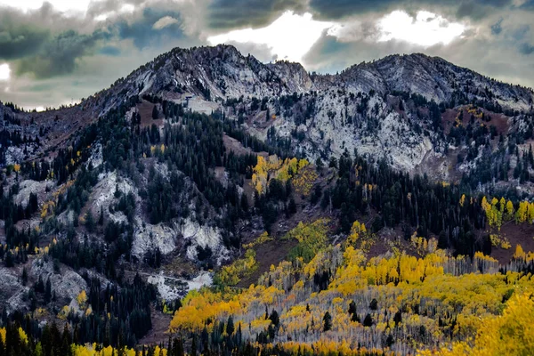 Colori Autunnali Delle Montagne Wasatch Con Fogliame Aspen Oro — Foto Stock