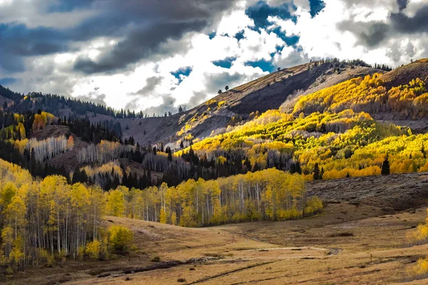 Colori Autunnali Delle Montagne Wasatch Con Fogliame Aspen Oro — Foto Stock