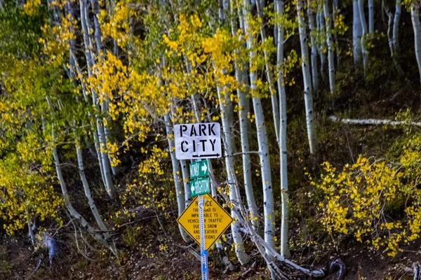 ゴールド アスペン葉 ワサッチ山脈の秋の色 — ストック写真