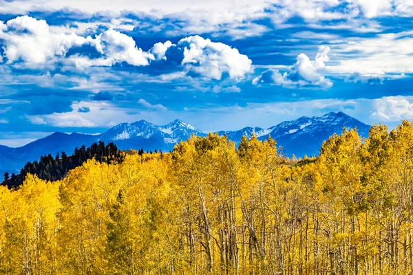 Fall Colors Wasatch Mountains Gold Aspen Foliage — Stock Photo, Image