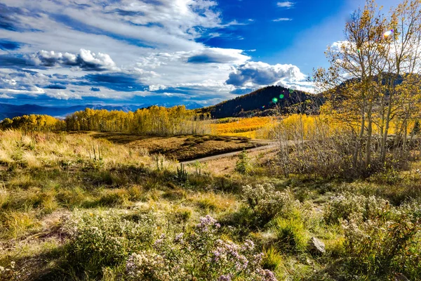 Colori Autunnali Delle Montagne Wasatch Con Fogliame Aspen Oro — Foto Stock